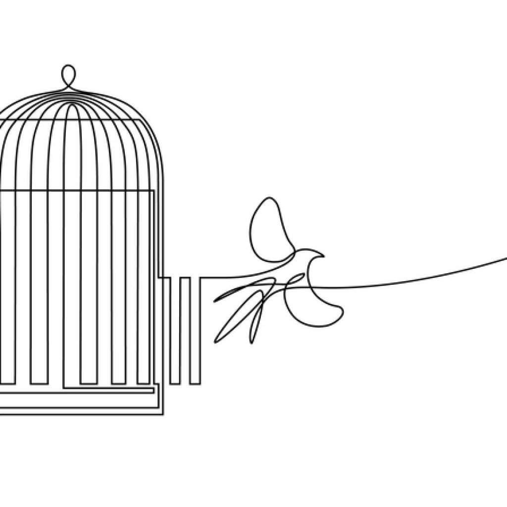 illustration of a bird escaping a cage; Article 120 UCMJ Conviction Appeal