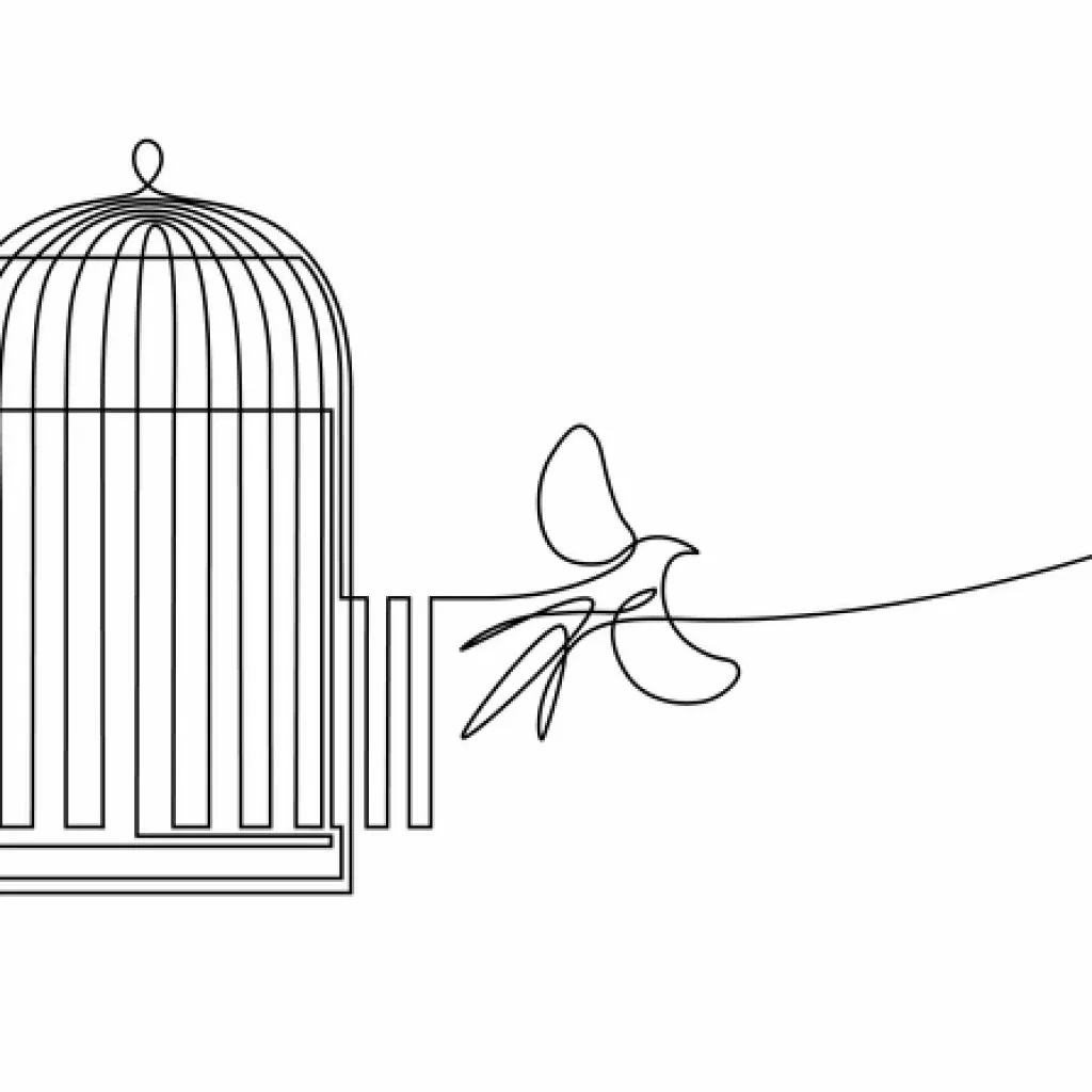 illustration of a bird escaping a cage; Article 120 UCMJ Conviction Appeal